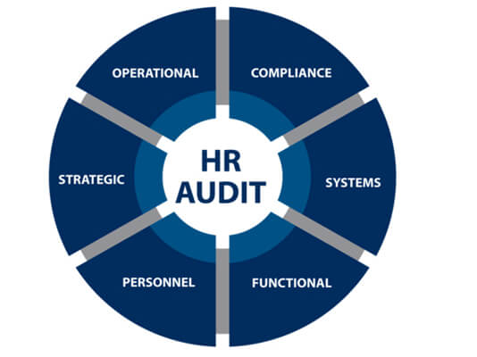 Why Choose Hale Human Capital